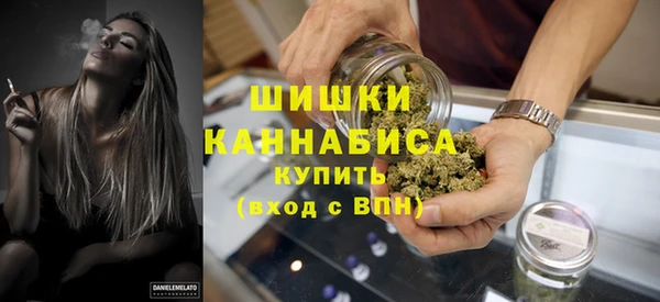 сатива Новокубанск