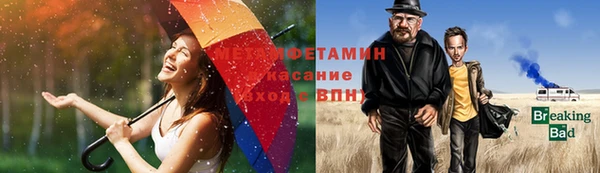 сатива Новокубанск