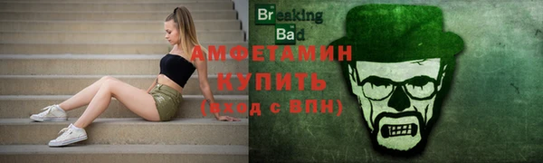сатива Новокубанск