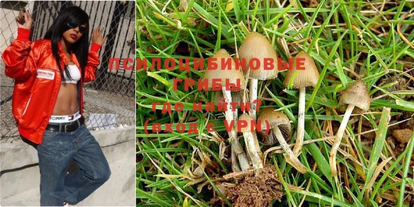 mix Новозыбков