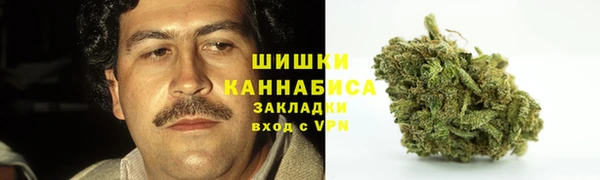 сатива Новокубанск