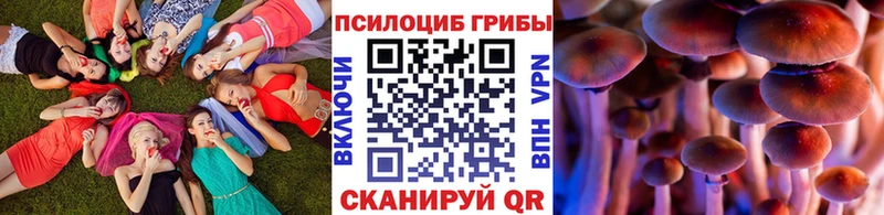 даркнет сайт  Новоаннинский  blacksprut ссылки  Псилоцибиновые грибы Psilocybe 